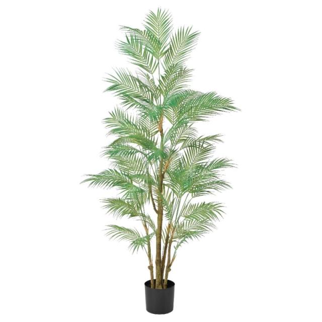 人工観葉植物 パーム （ポット付き） グリーン 高さ190cm （P292-a50969) （代引き不可） インテリアグリーン フェイクグリーンの通販は