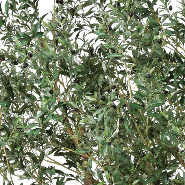 人工観葉植物 オリーブ （ポット付き） オリーブ 高さ230cm （P281-a50970) （代引き不可） インテリアグリーン フェイクグリーン_1