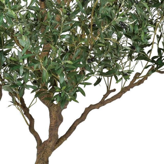 人工観葉植物 オリーブ （ポット付き） オリーブ 高さ230cm （P281-a50970) （代引き不可） インテリアグリーン フェイクグリーン_2