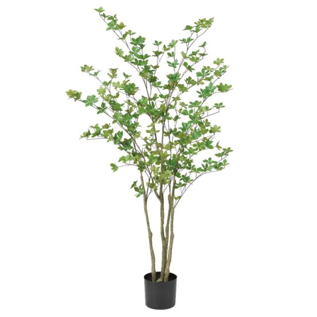 人工観葉植物 ドウダン （ポット付き） グリーン 高さ155cm （P279-a50993) （代引き不可） インテリアグリーン フェイクグリーン