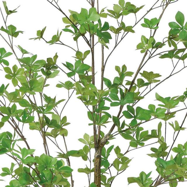 人工観葉植物 ドウダン （ポット付き） グリーン 高さ190cm （P279-a50994) （代引き不可） インテリアグリーン フェイクグリーン_1