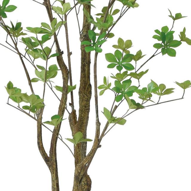 人工観葉植物 ドウダン （ポット付き） グリーン 高さ190cm （P279-a50994) （代引き不可） インテリアグリーン フェイクグリーン_2