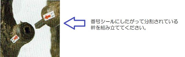 人工観葉植物 オリーブ （ポット付き） オリーブ 高さ300cm （P281-a51020) （代引き不可） インテリアグリーン フェイクグリーン_3