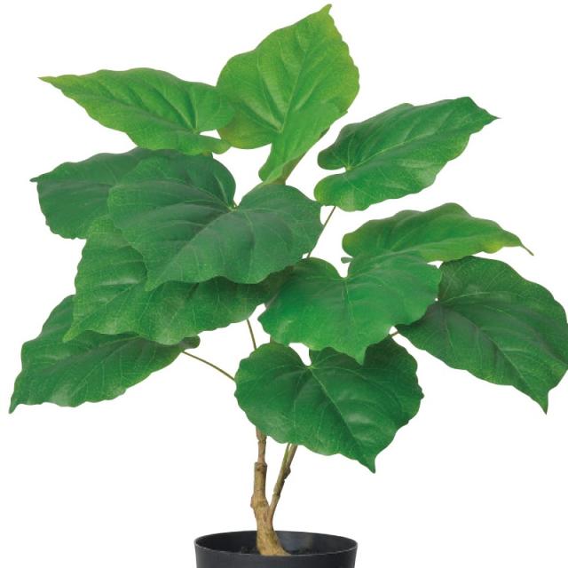 人工観葉植物 ウンベラータ （ポット付き） グリーン 高さ40cm （P288-a51034) （代引き不可） インテリアグリーン フェイクグリーン_1