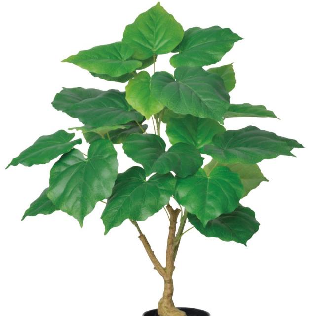 人工観葉植物 ウンベラータ （ポット付き） グリーン 高さ60cm （P288-a51035) （代引き不可） インテリアグリーン フェイクグリーン_1