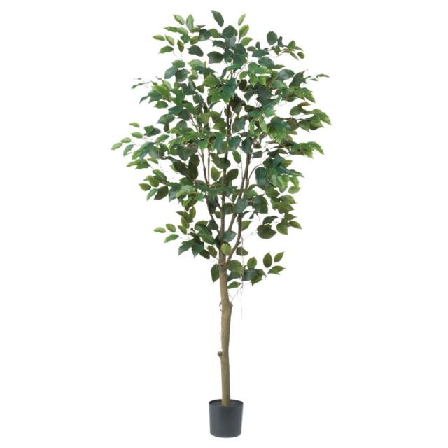 人工観葉植物 ファイカス （ポット付き） グリーン 高さ155cm （P285-a51043) （代引き不可） インテリアグリーン フェイクグリーンの通販は 32,500円