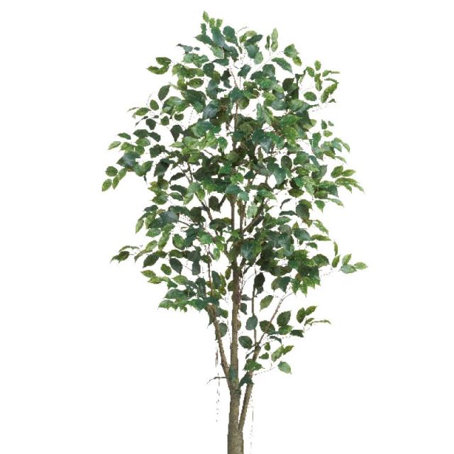 人工観葉植物 ファイカス （ポット付き） グリーン 高さ190cm （P284-a51044) （代引き不可） インテリアグリーン フェイクグリーン_1
