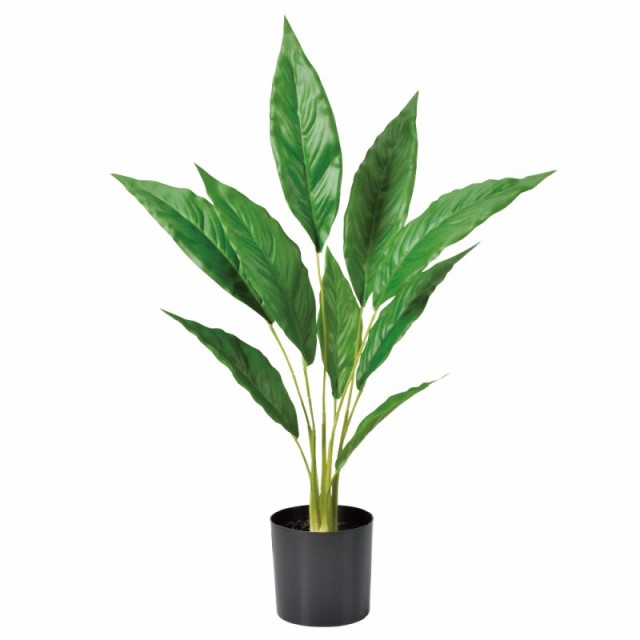 人工観葉植物 スパティフィラム （ポット付き） グリーン 高さ48cm （P288-a51052) （代引き不可） インテリアグリーン フェイクグリーンの通販は