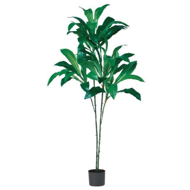 人工観葉植物 ドラセナ （ポット付き） グリーン 高さ155cm （P290-a51054) （代引き不可） インテリアグリーン フェイクグリーン