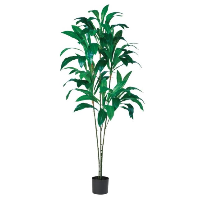 人工観葉植物 ドラセナ （ポット付き） グリーン 高さ180cm （P290-a51055) （代引き不可） インテリアグリーン フェイクグリーン