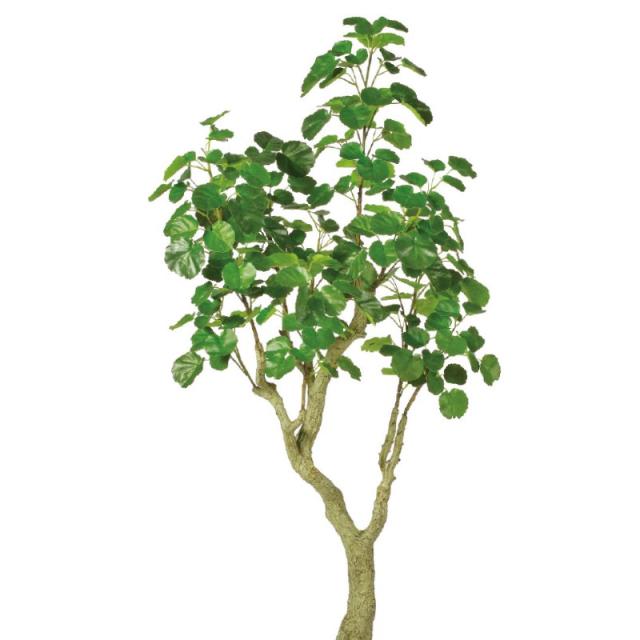 人工観葉植物 シールドマラリア （ポット付き） グリーン 高さ150cm （P283-a51057) （代引き不可） インテリアグリーン フェイクグリーン_1