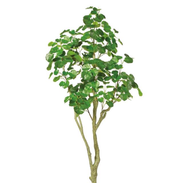 人工観葉植物 シールドマラリア （ポット付き） グリーン 高さ165cm （P283-a51058) （代引き不可） インテリアグリーン フェイクグリーン_1
