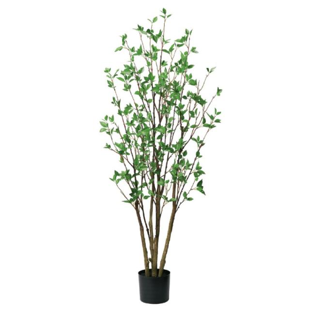 人工観葉植物 ドウダン （ポット付き） グリーン 高さ153cm （P279-a51070) （代引き不可） インテリアグリーン フェイクグリーン