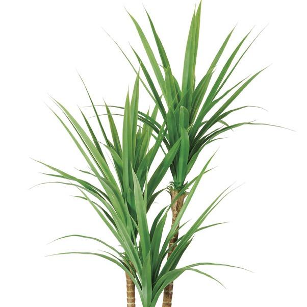 人工観葉植物 ハワイアングラスツリー （ポット付き） グリーン 高さ203cm （P291-a51075) （代引き不可） インテリアグリーン フェイクグリーン