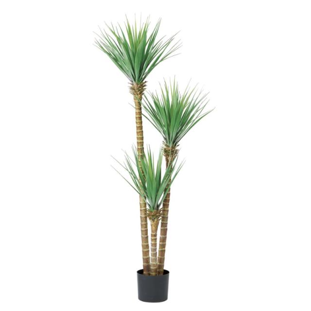 人工観葉植物 ドラセナ （ポット付き） グリーン 高さ166cm （P291-a51077) （代引き不可） インテリアグリーン フェイクグリーン