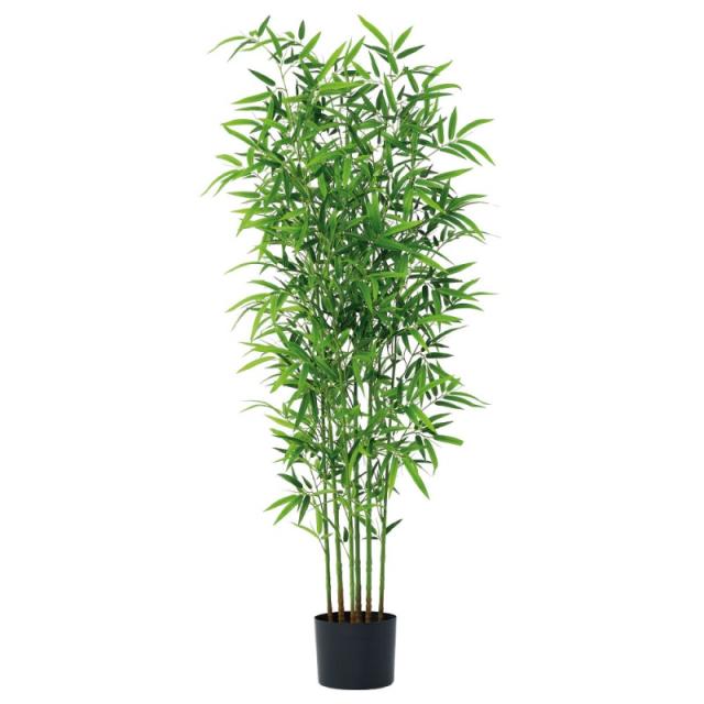 人工観葉植物 バンブーツリー （ポット付き） グリーン 高さ190cm （P294-a51119) （代引き不可） インテリアグリーン フェイクグリーンの通販は