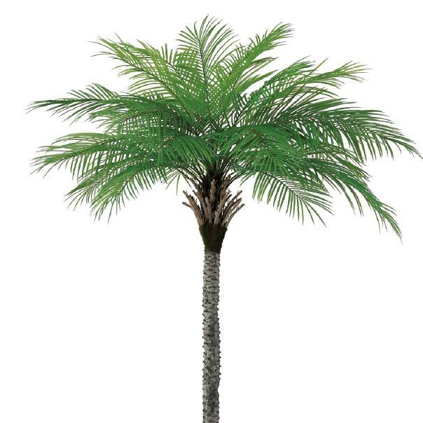 NXstyle 花壇材 擬木 五連300 ×10個 エクステリア・ガーデニング通販