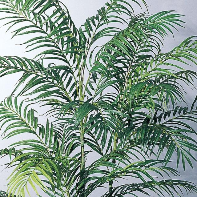 人工観葉植物 アレカパーム （ポット付き） グリーン 高さ175cm （P292-a56009) （代引き不可） インテリアグリーン フェイクグリーン_1