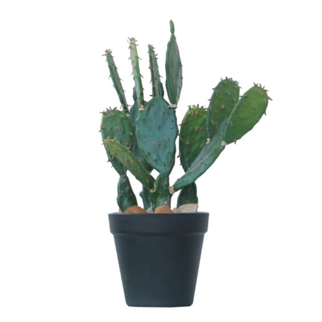 人工観葉植物 ウチワサボテン ポット 31 （1個入り） 991101 （代引き不可） p81の通販は 6,680円