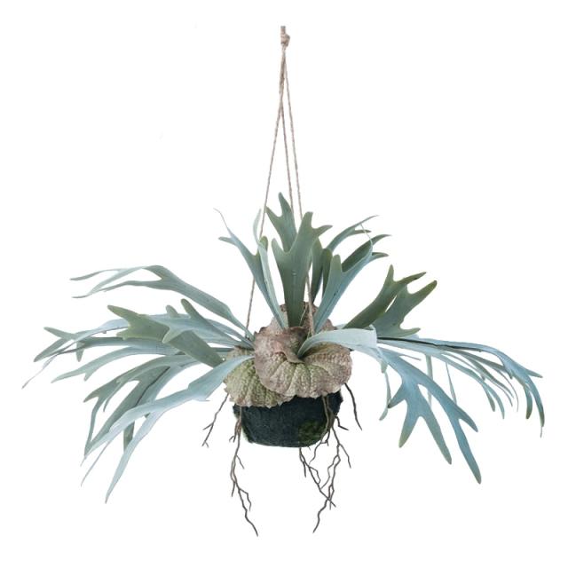 人工観葉植物 ビカクシダ ハンギングボール 46 （1個入り） 991621 （代引き不可） p95の通販は