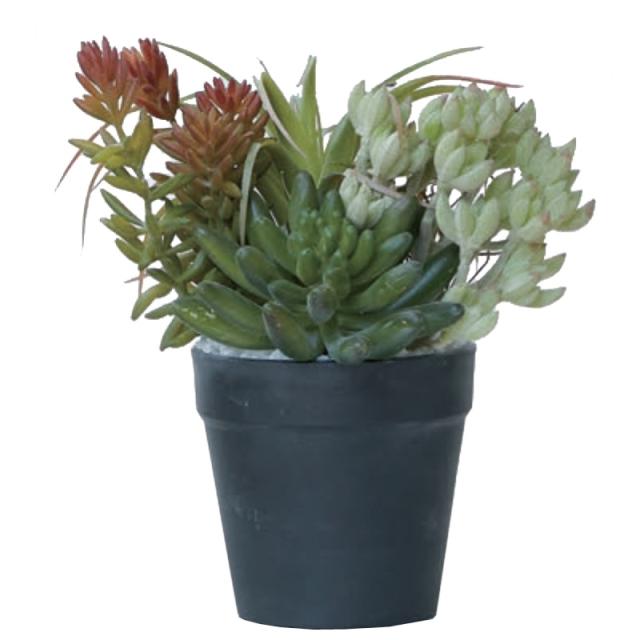 人工観葉植物 ミニアレンジメント ポット SA 21 （1個入り） 991781 （代引き不可） p75の通販は