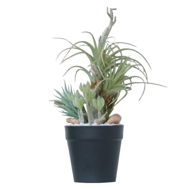 人工観葉植物 ミニアレンジメント ポット SD 27 （1個入り） 991811 （代引き不可） p75の通販は