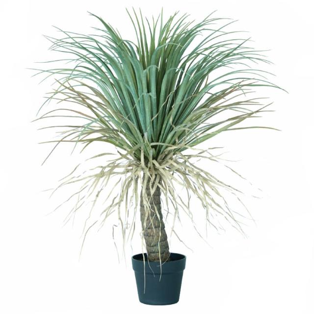 人工観葉植物 ユッカ ポット 85 （2個入り） 991970 （代引き不可） p57_1