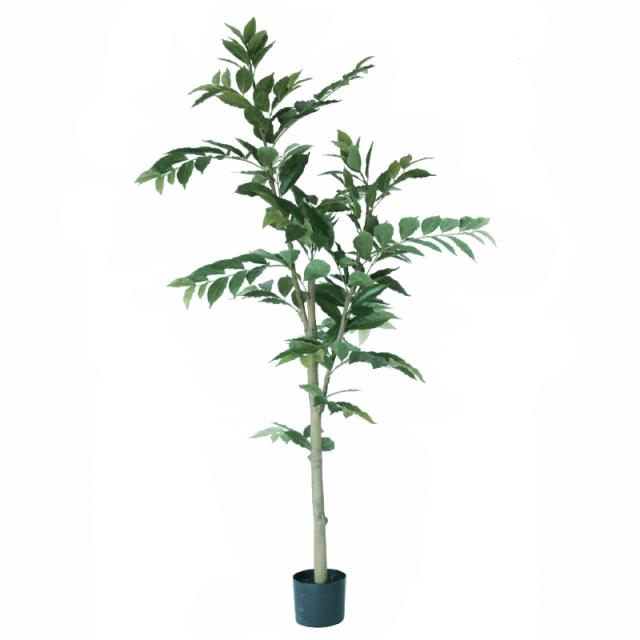 人工観葉植物 コーヒーの木 ポット 170 （1個入り） 992080 （代引き不可） p45