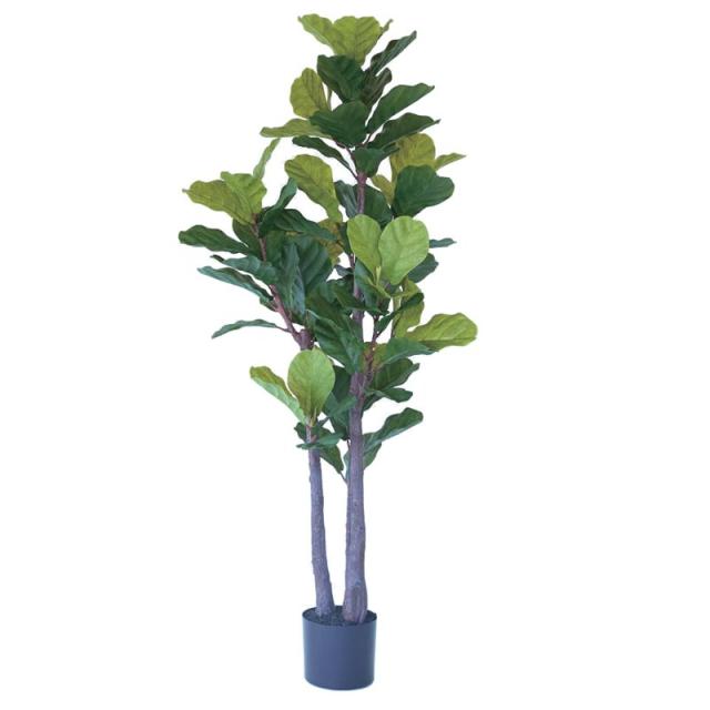 人工観葉植物 カシワバゴム ポット 150 （1個入り） 992400 （代引き不可） p43