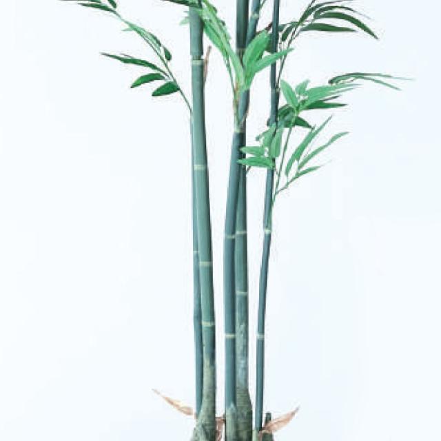 人工観葉植物 バンブー ポット 180 （1個入り） 992571 （代引き不可） p23_1