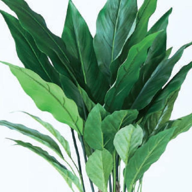 人工観葉植物 スパティフィラム ポット 60 （6個入り） 992580 （代引き不可） p28_2