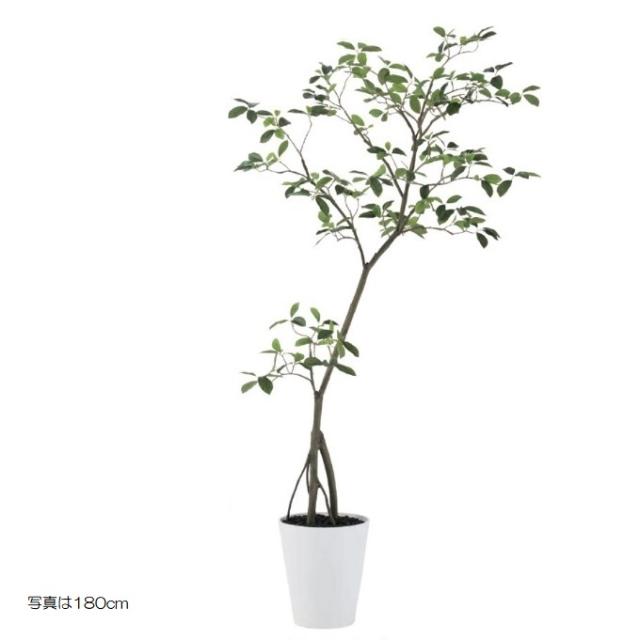 人工観葉植物 カジュマル FST 120cm GREEN 高さ120cm （P208-dt91814) （代引き不可） インテリアグリーン フェイクグリーンの通販は