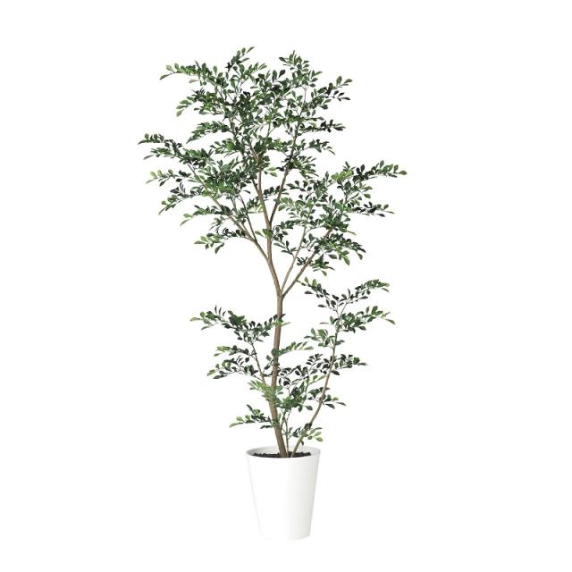 人工観葉植物 トネリコ FST 150cm 高さ150cm （P208-dt91887) （代引き不可） インテリアグリーン フェイクグリーンの通販は