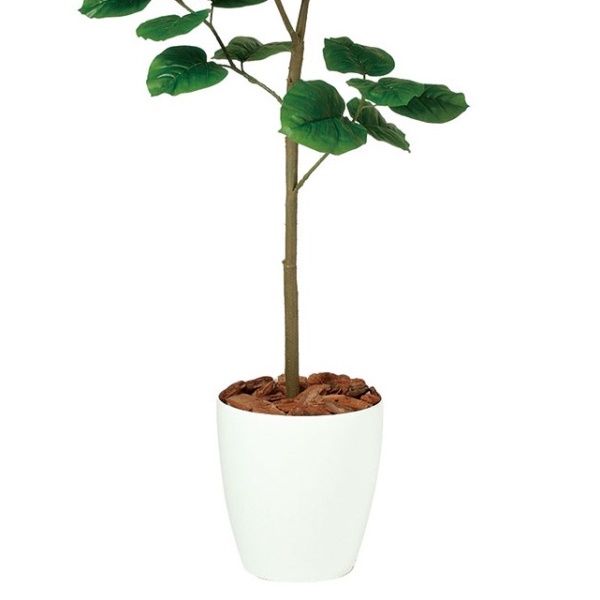 人工観葉植物 ウンベラータ FST 150cm 高さ150cm （P208-dt99103) （代引き不可） インテリアグリーン フェイクグリーンの通販は