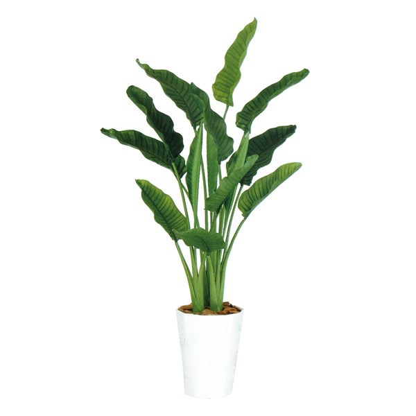 人工観葉植物 ストレリチア・オーガスタ MIX 170cm 高さ170cm （P209-dt99174) （代引き不可） インテリアグリーン フェイクグリーンの通販は 62,480円