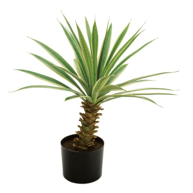 人工観葉植物 ユッカ ポット 班入り 高さ70cm （P202-fg292) （代引き不可） インテリアグリーン フェイクグリーン 13,841円