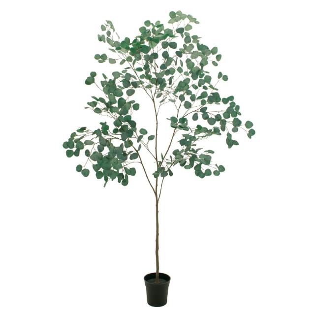 人工観葉植物 ユーカリ ポット 高さ180cm （P194-fg300673) （代引き不可） インテリアグリーン フェイクグリーン 27,930円