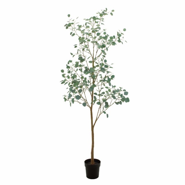 人工観葉植物 ユーカリブランチ ポット L 高さ210cm （P195-fg307772) （代引き不可） インテリアグリーン フェイクグリーンの通販は