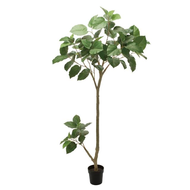 人工観葉植物 ウンベラータグランデ ポット 高さ210cm （P195-fg307774) （代引き不可） インテリアグリーン フェイクグリーンの通販は