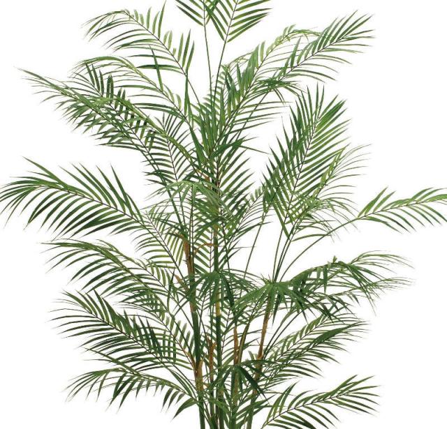 人工観葉植物 トロピカルパームツリー ポット 高さ145cm （P204-fg658) （代引き不可） インテリアグリーン フェイクグリーン_1