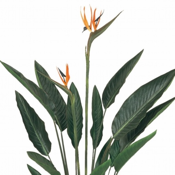 人工観葉植物 ストレチアプラント 高さ140cm （P205-fg7416) （代引き不可） インテリアグリーン フェイクグリーン_1