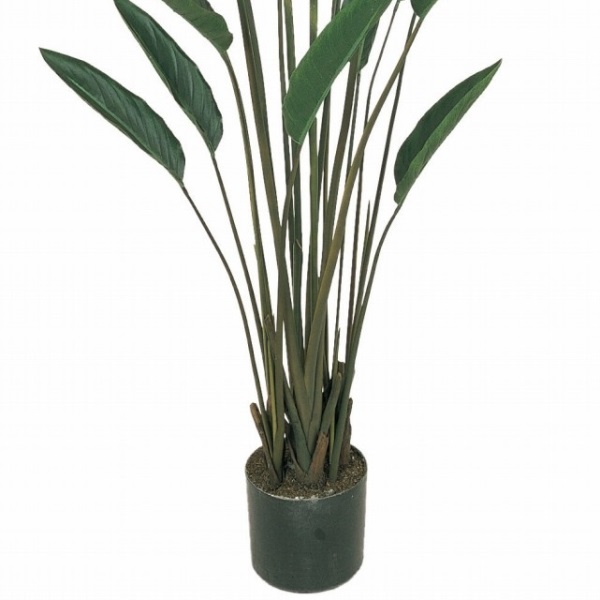 人工観葉植物 ストレチアプラント 高さ140cm （P205-fg7416) （代引き不可） インテリアグリーン フェイクグリーン_2
