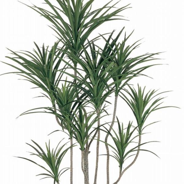 人工観葉植物 ユッカポット L 高さ185cm （P203-fg7648) （代引き不可） インテリアグリーン フェイクグリーン_1