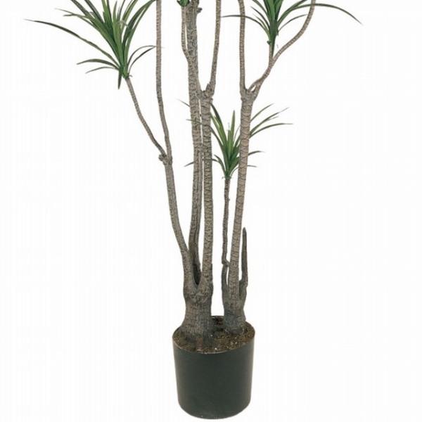 人工観葉植物 ユッカポット L 高さ185cm （P203-fg7648) （代引き不可） インテリアグリーン フェイクグリーン_2
