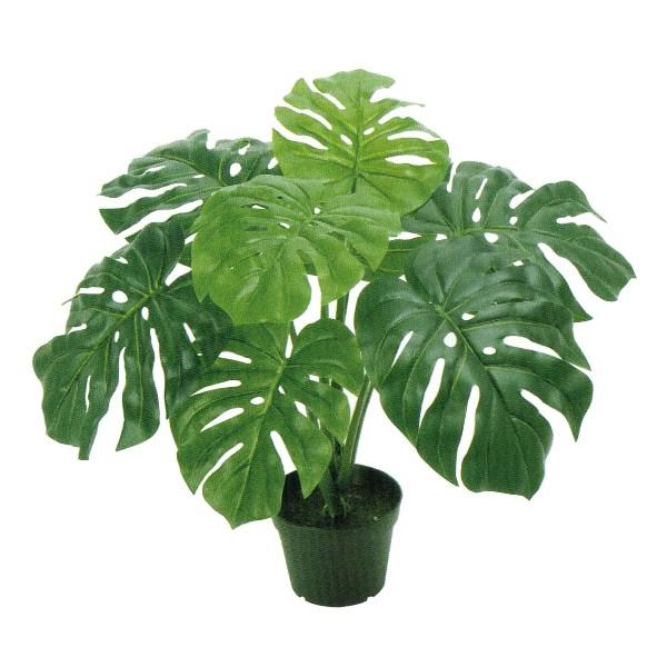 人工観葉植物 モンステラ ポット 高さ50cm （P192-fz5702) （代引き不可） インテリアグリーン フェイクグリーン