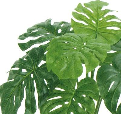 人工観葉植物 モンステラ ポット 高さ50cm （P192-fz5702) （代引き不可） インテリアグリーン フェイクグリーン_1