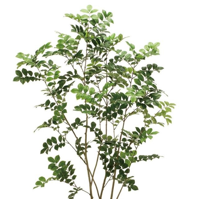 人工観葉植物 トネリコ プランター入り 高さ160cm （P206-mgf30197) （代引き不可） インテリアグリーン フェイクグリーン_1