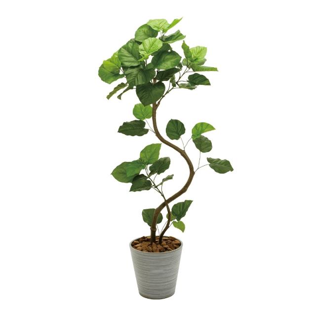 人工観葉植物 ウンベラータ スパイラル プランター入り 高さ160cm （P206-mgf5229) （代引き不可） インテリアグリーン フェイクグリーンの通販は