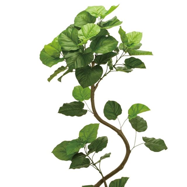 人工観葉植物 ウンベラータ スパイラル プランター入り 高さ160cm （P206-mgf5229) （代引き不可） インテリアグリーン フェイクグリーン_1