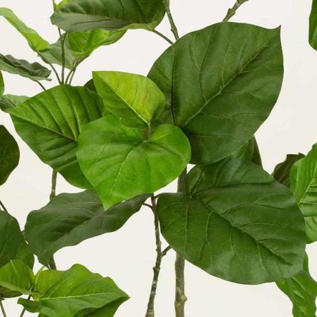 人工観葉植物 ウンベラータ プランター入り 高さ170cm （P206-mgf6227) （代引き不可） インテリアグリーン フェイクグリーン_1